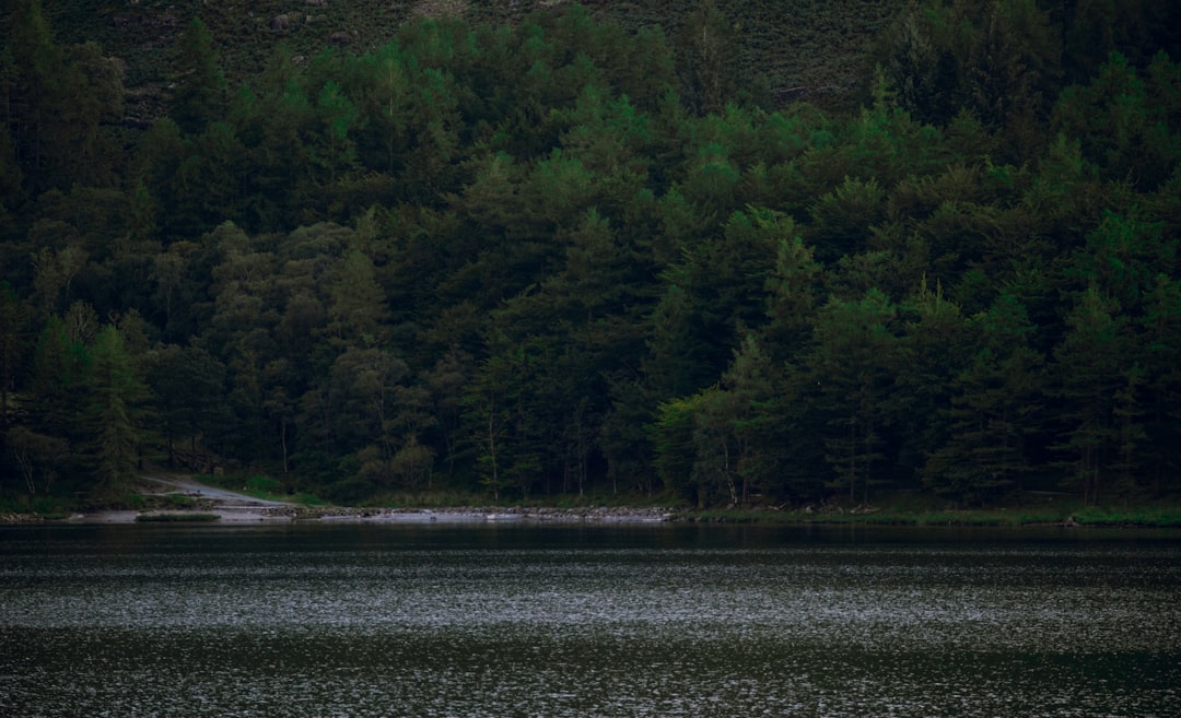 Keeping Members Hooked: Close Season Engagement Strategies