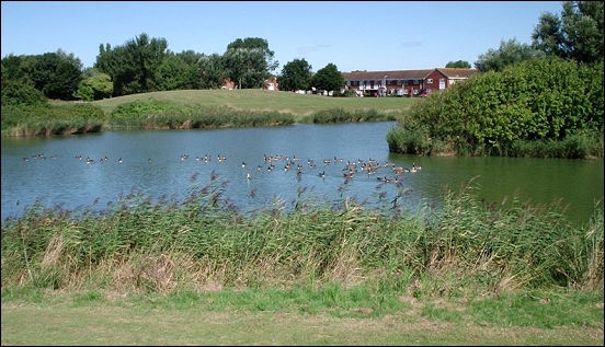 Image for Waggler Fishing