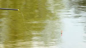 Image for 4-Week In-Depth Pole Fishing Course