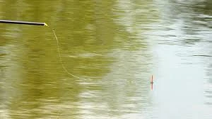 Image for 4-Week In-Depth Pole Fishing Course