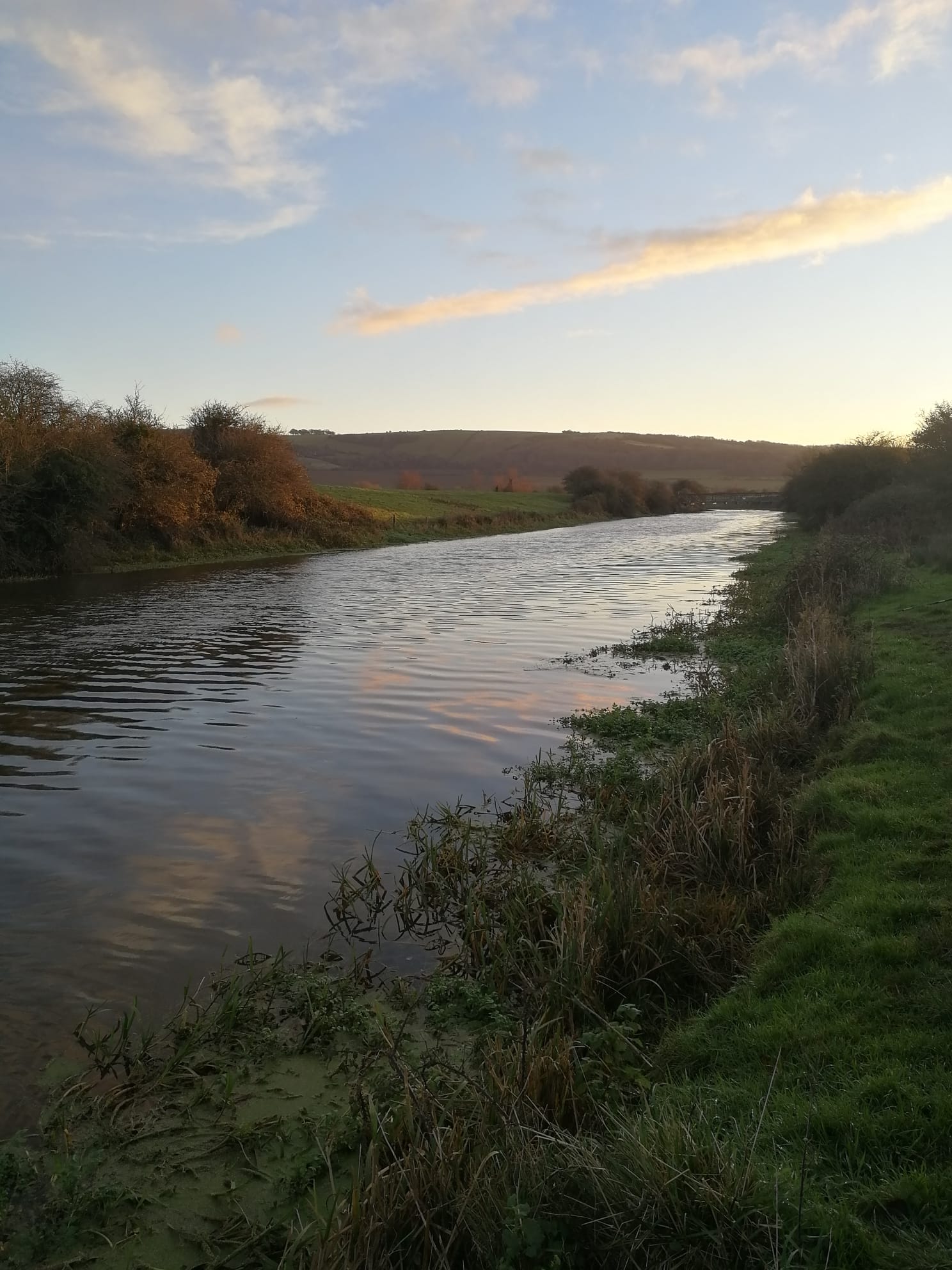 Image for Pike Only Open Match