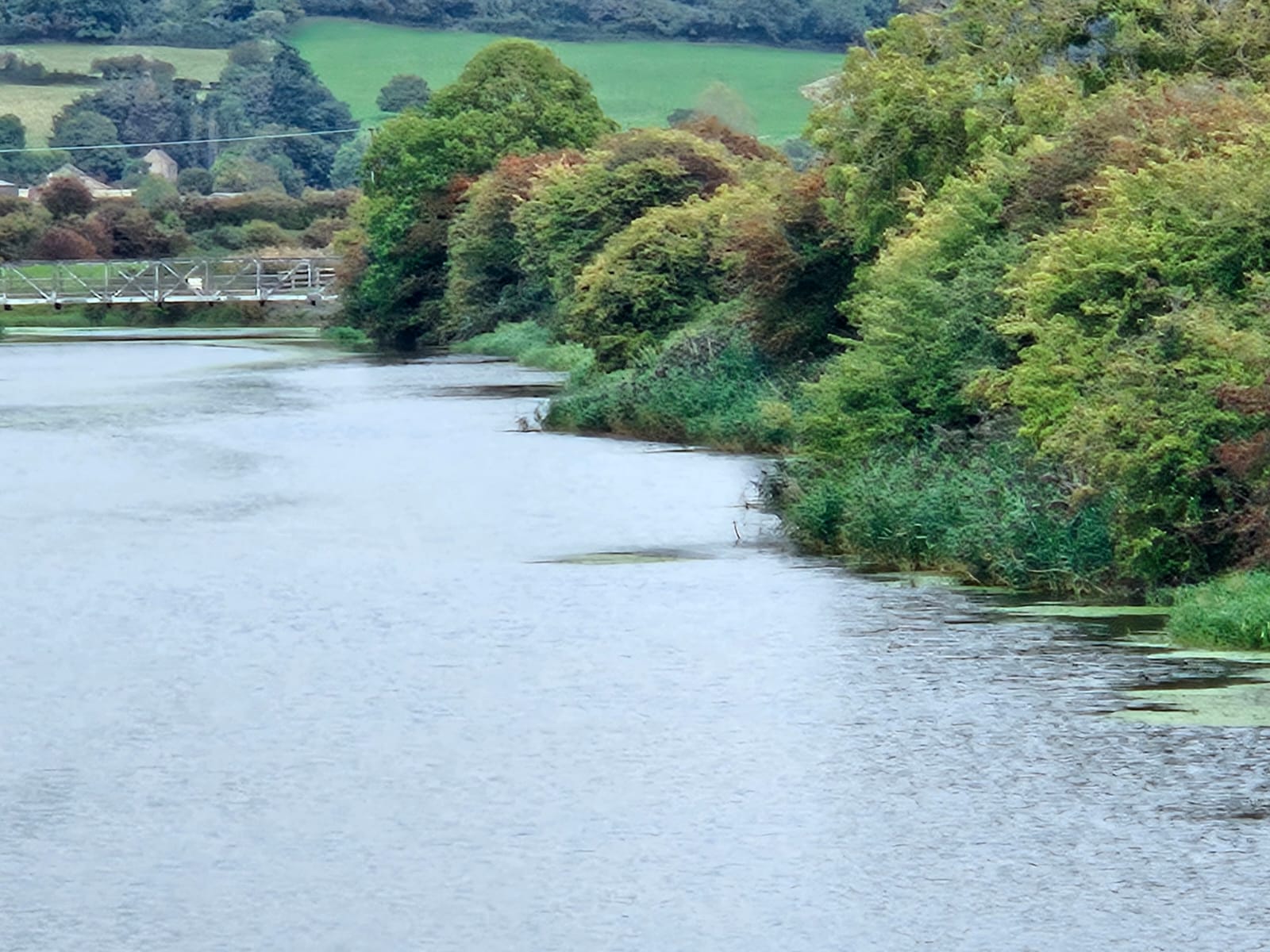 Image for Pike Only Match