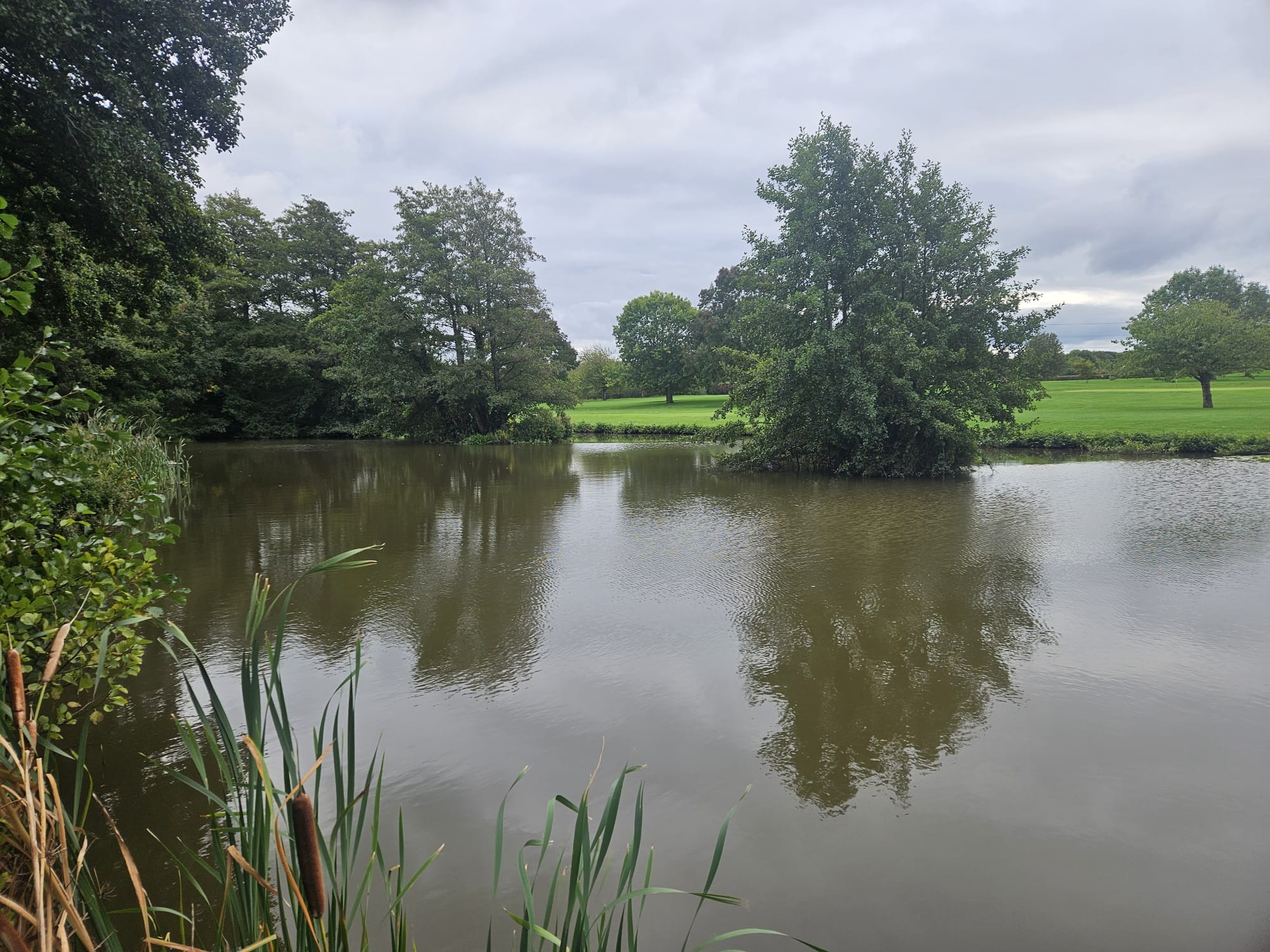 Image for Jubilee Plate