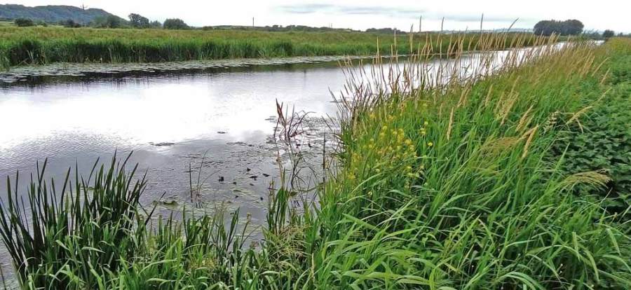 SLAC Water featured image