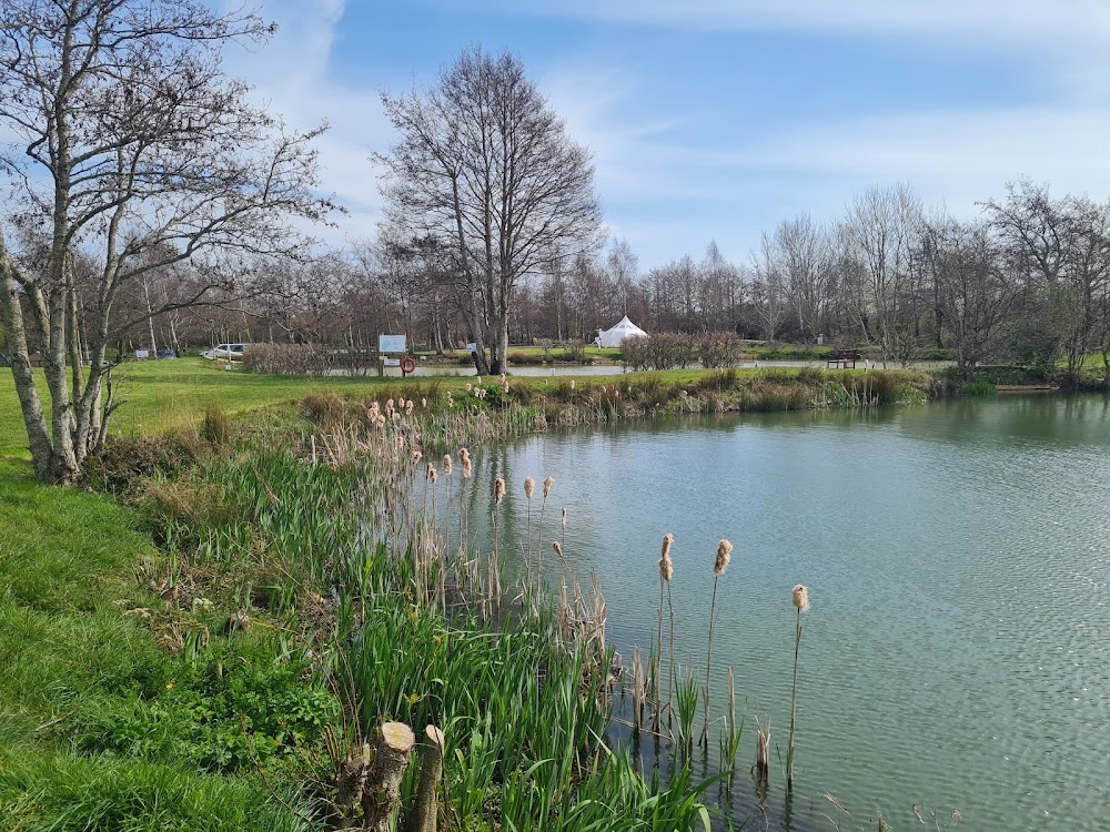 Burton Springs featured image