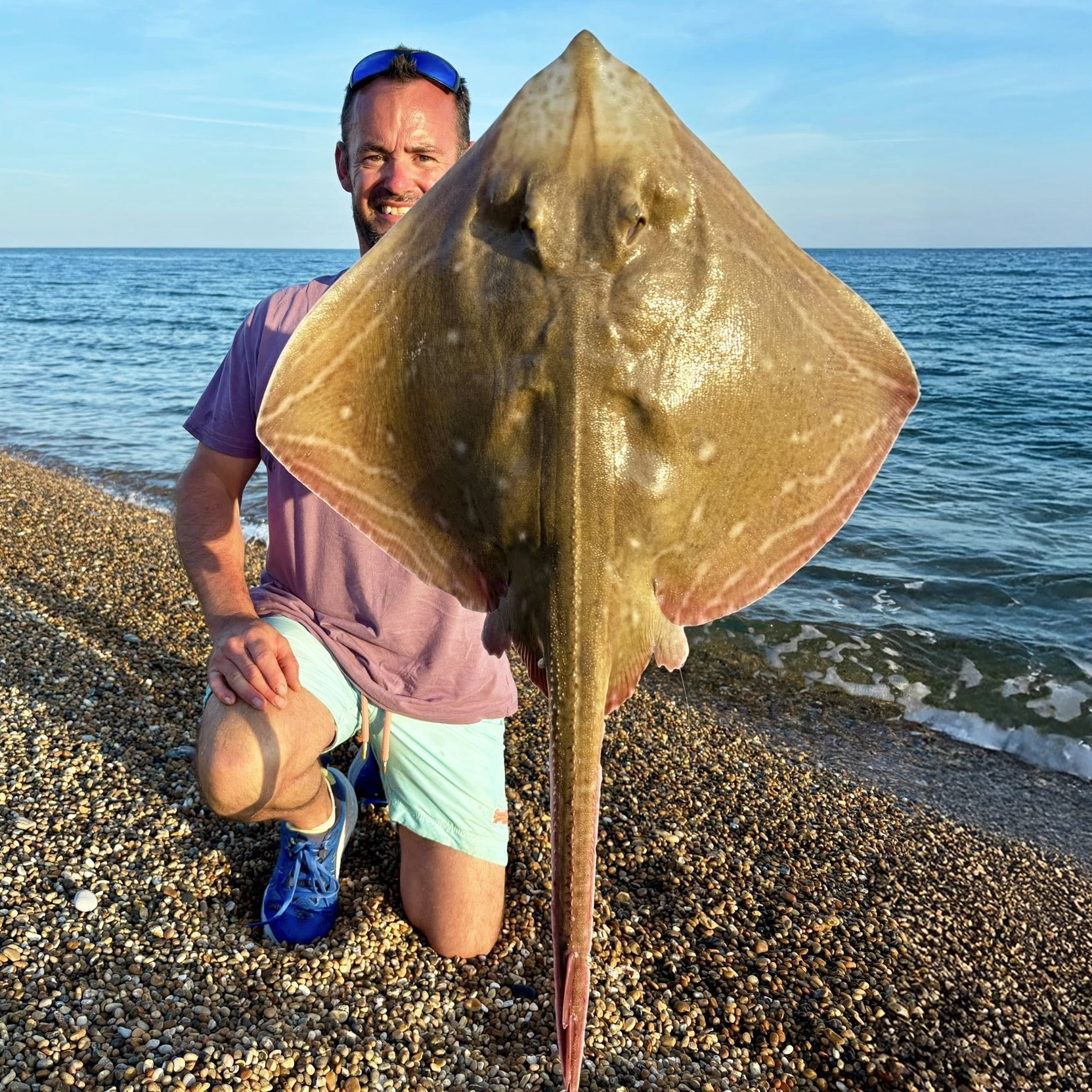 Image for Chesil Beach Plaice, Rays & Smoothhounds