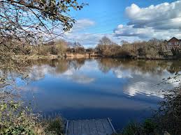 Image for Junior Fishing Coaching at Summerlane, Weston-super-Mare