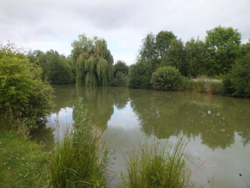 Image for Get Fishing Coaching Day at Thorney Lakes