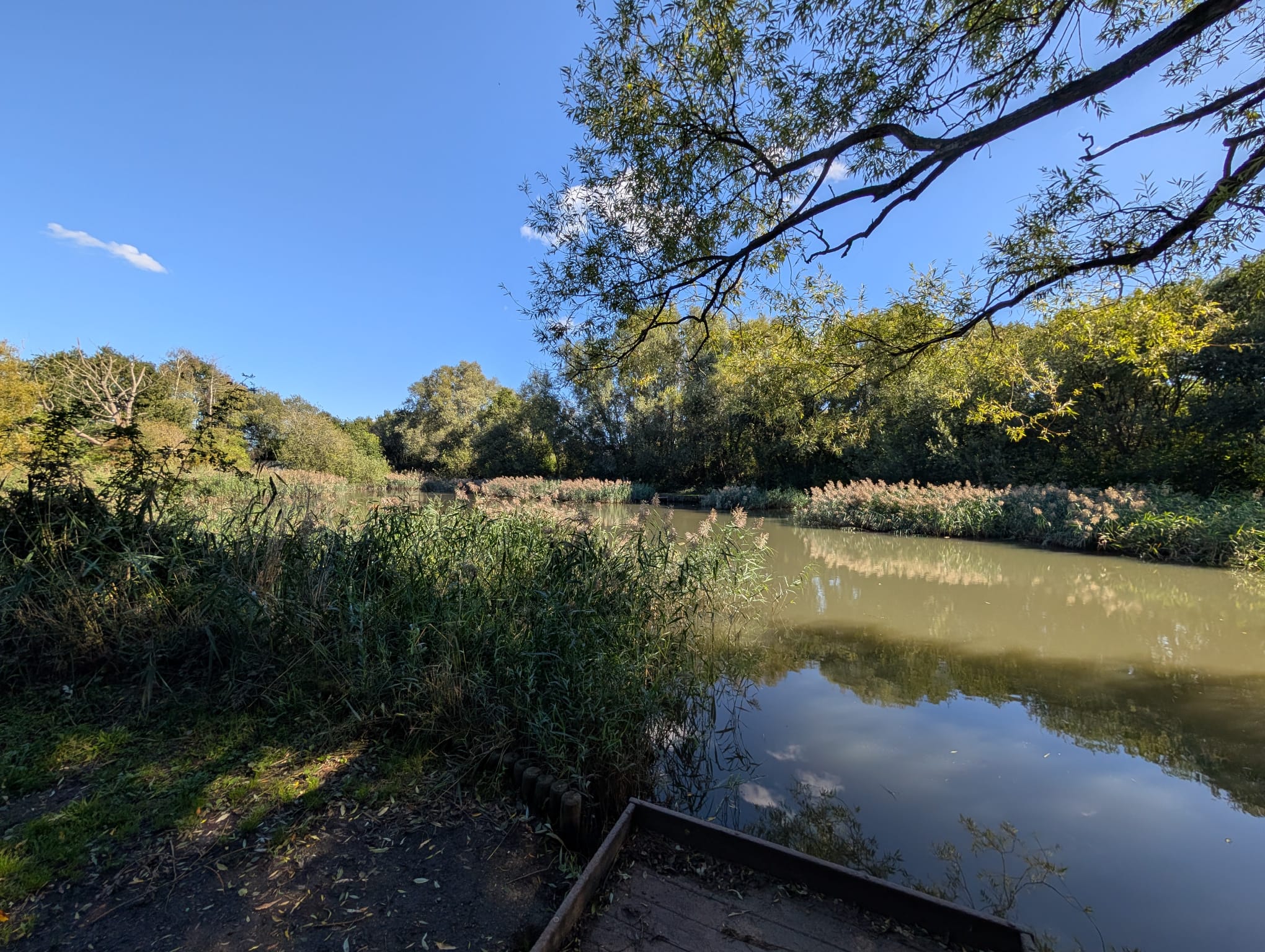 Weston Angling Association Case Study: How an Established Club Found Its Digital Voice with Clubnest