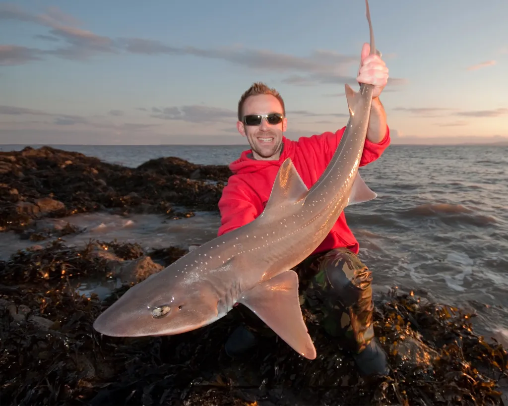The Gambling Angler’s Content-and-Booking Engine: How Clubnest Turned Expertise into Traffic, Enquiries and Confirmed Trips