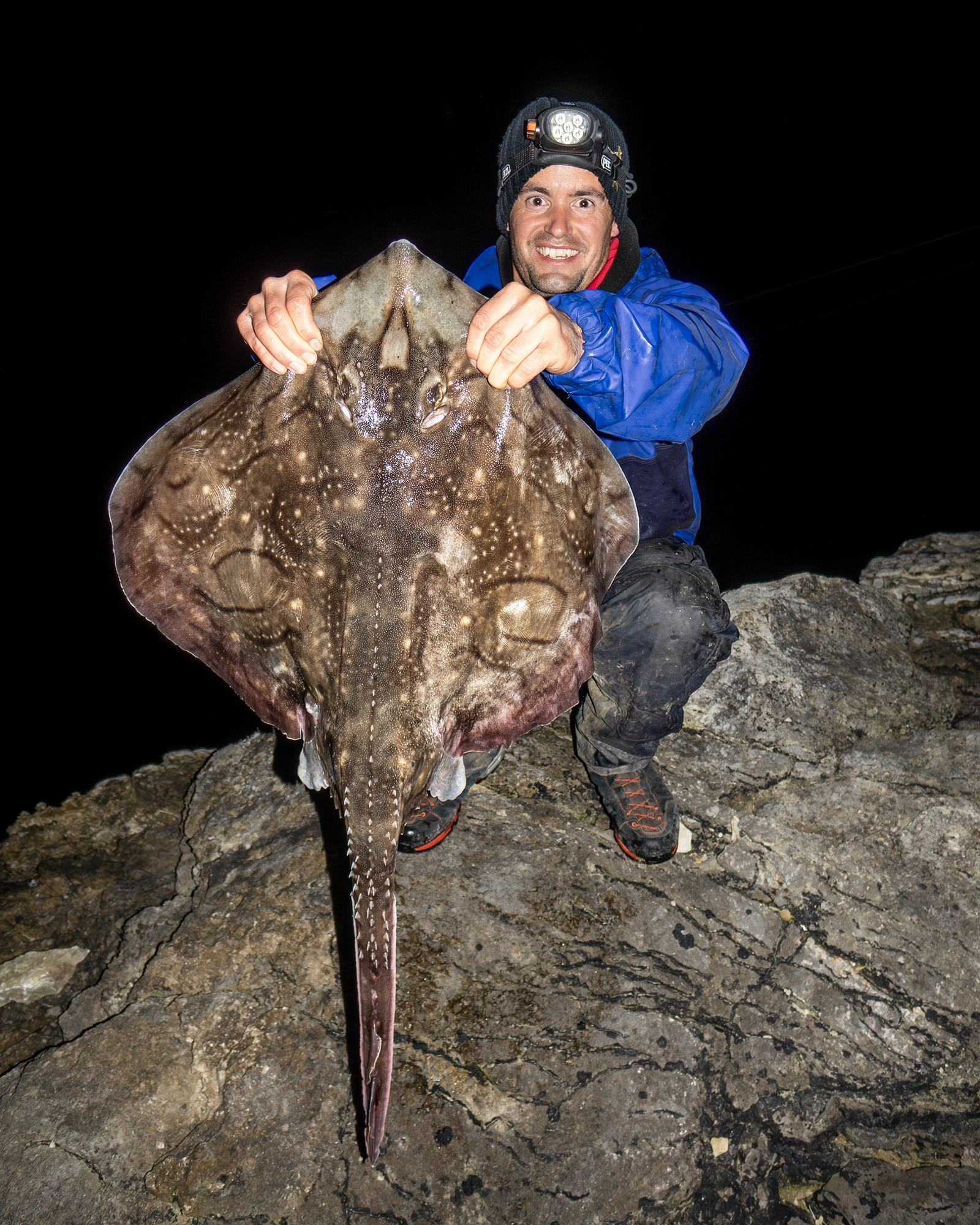 Image for Purbeck Guided Rock Fishing