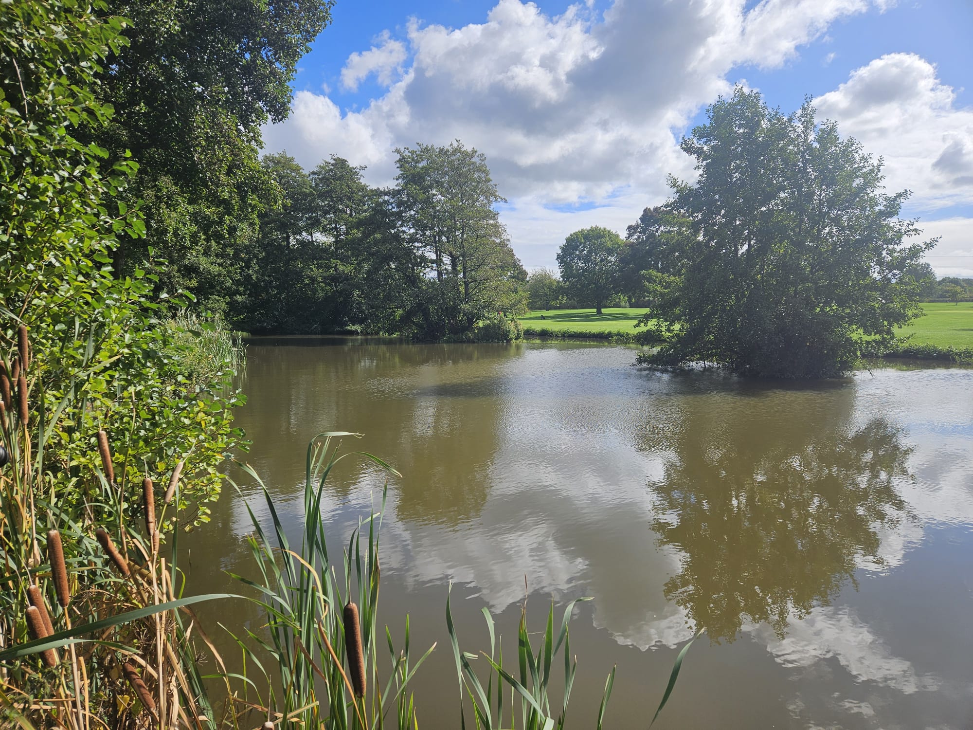 Mendip Spring featured image