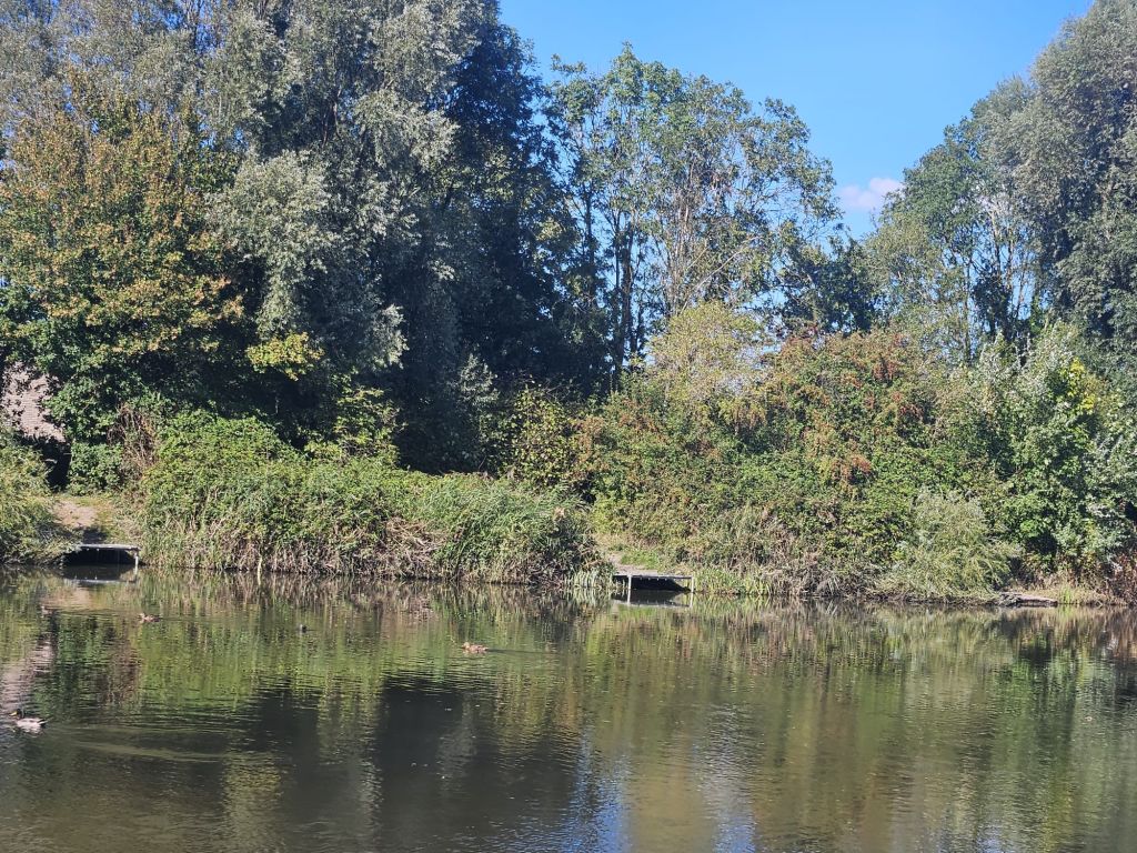 Image for Junior Angling Coaching at Summerlane, Weston-super-Mare