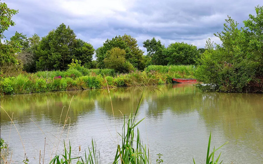 Image for Junior Angling Coaching at Avalon Fisheries