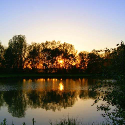 Thorney Lakes featured image