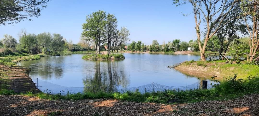 Railway featured image