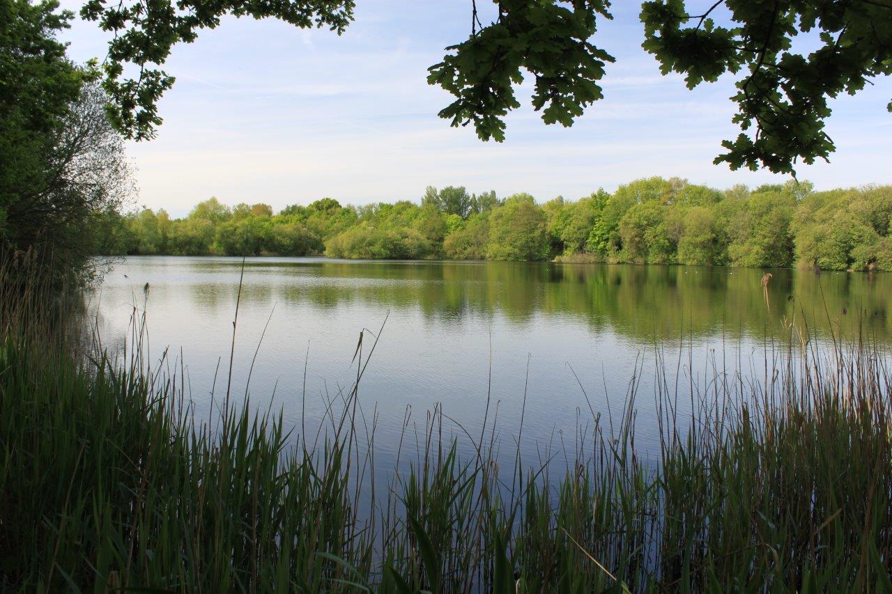 Image for Test Match