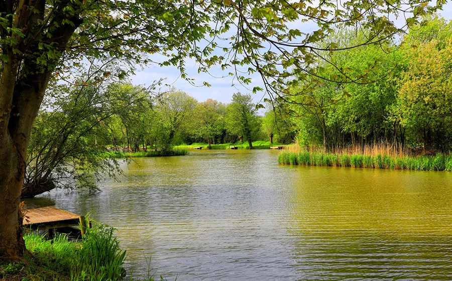 Image for Junior Fishing Coaching at Avalon Fisheries, Somerset
