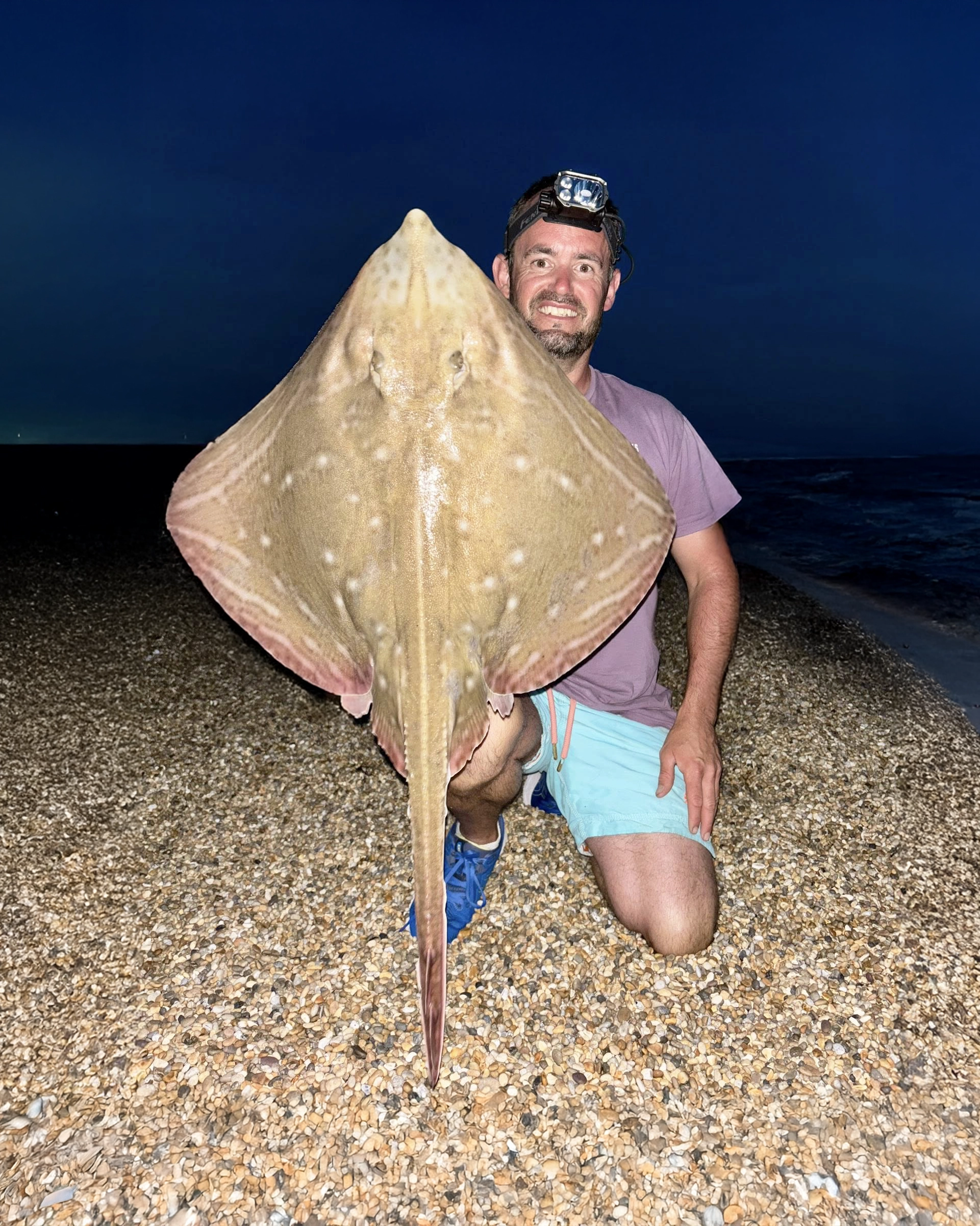 Image for Chesil Beach Plaice, Rays & Smoothhounds