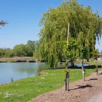 Image for Angling Coaching at Summerhayes Fisheries – Bridgwater, Somerset