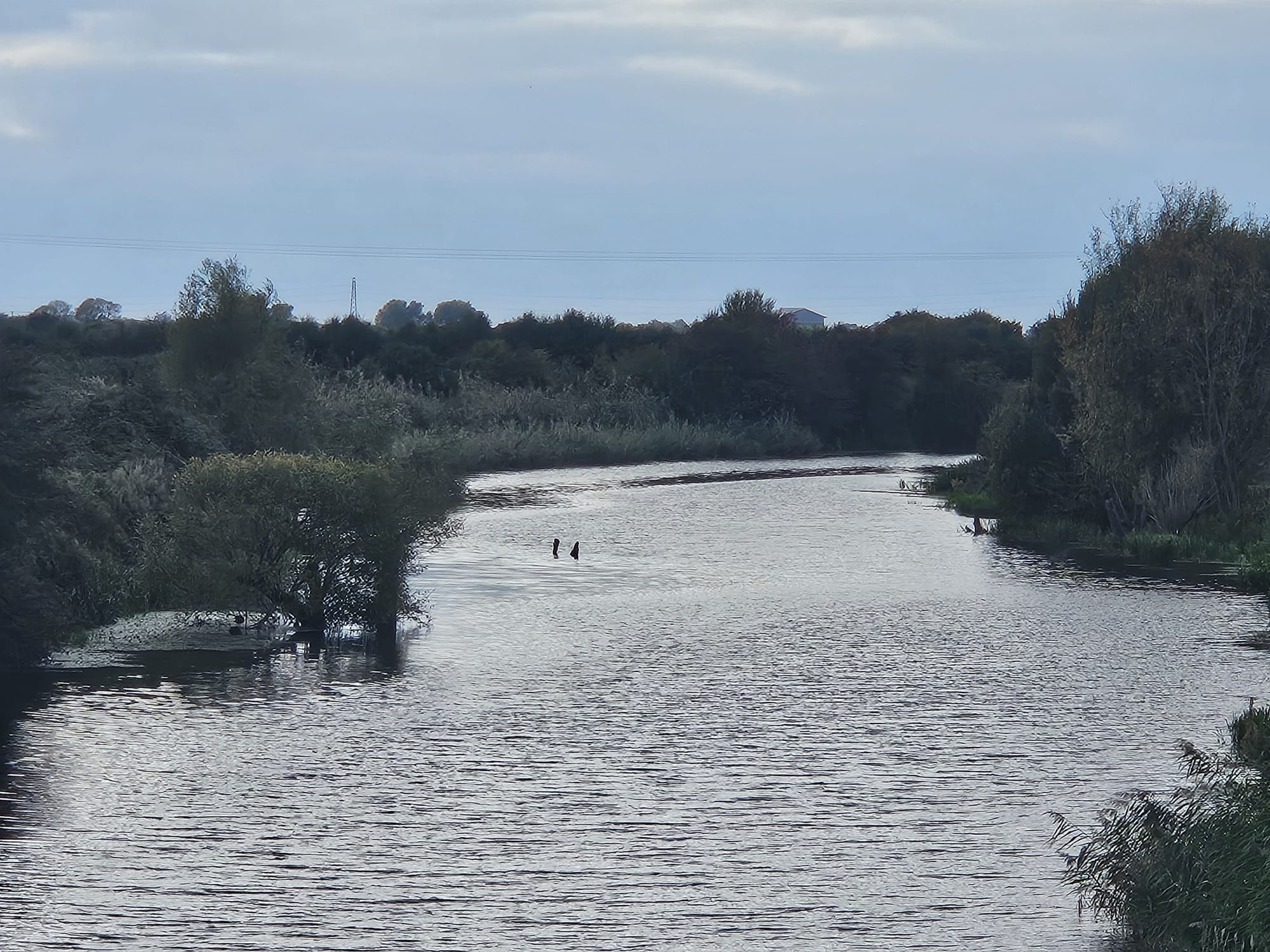 The River Axe - Paddocks to Caravan Park featured image