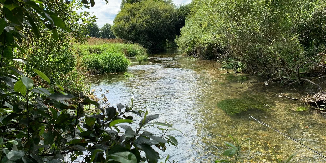 Image for Discover Fly Fishing on the River Frome