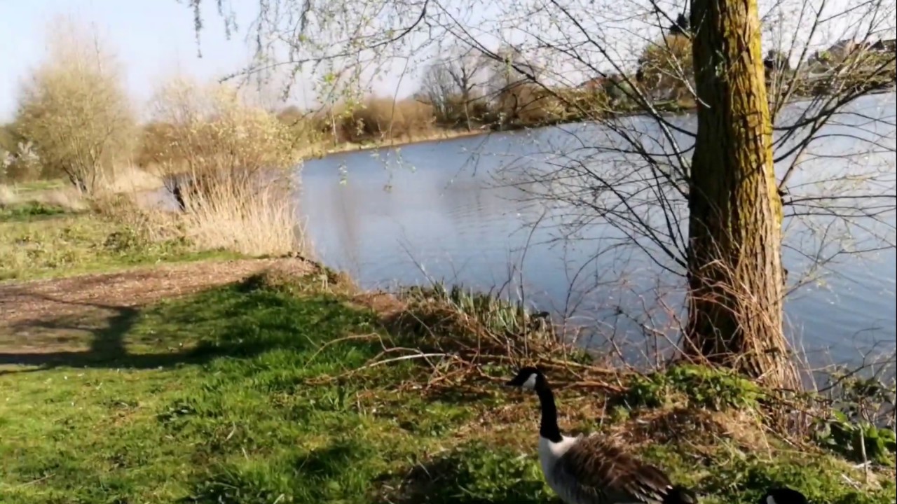 Image for Junior Angling Coaching at Walrow Ponds, Highbridge