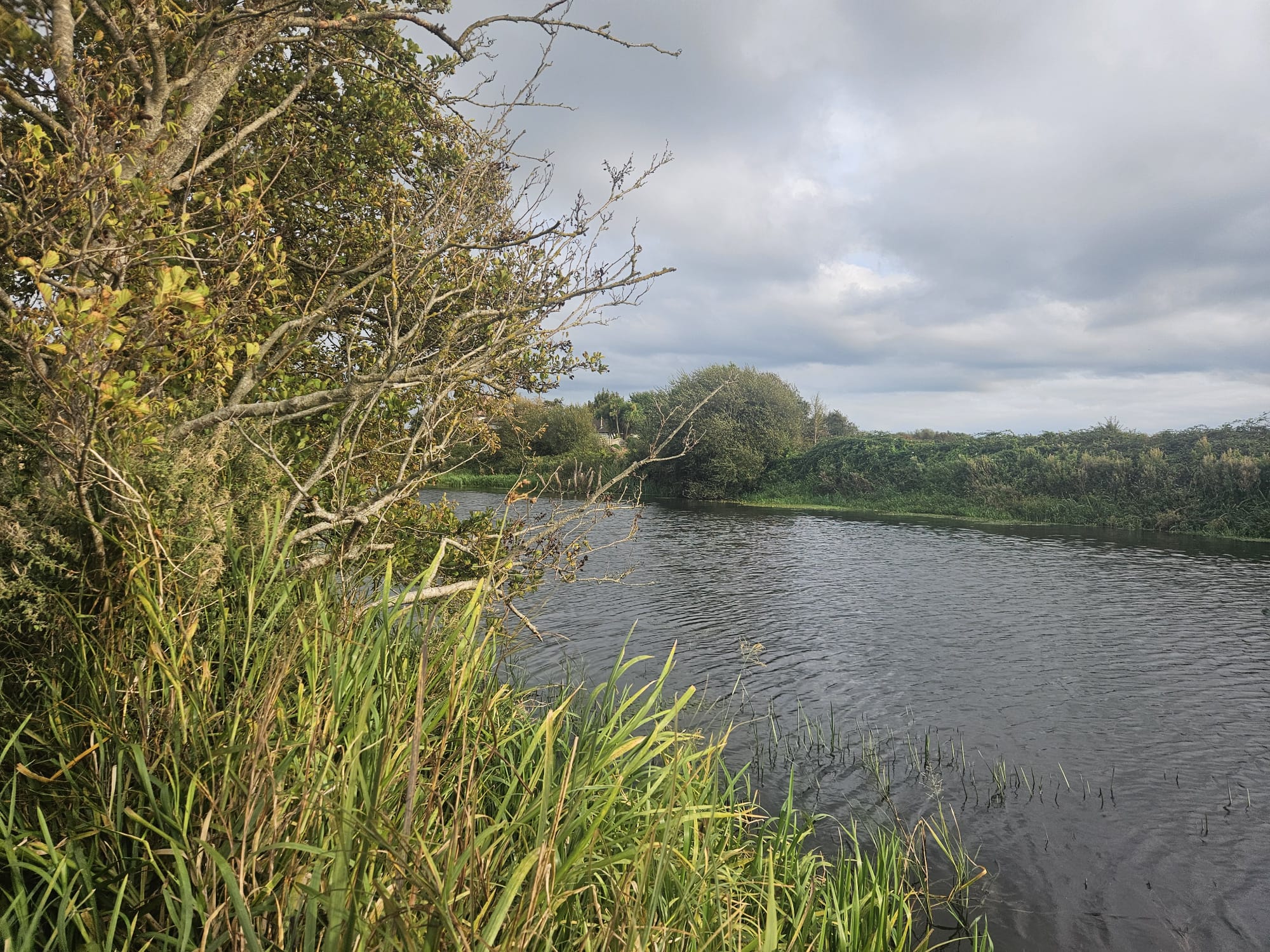 The River Axe - Ham Lane to Motorway featured image