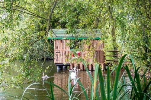 Snag Pit featured image