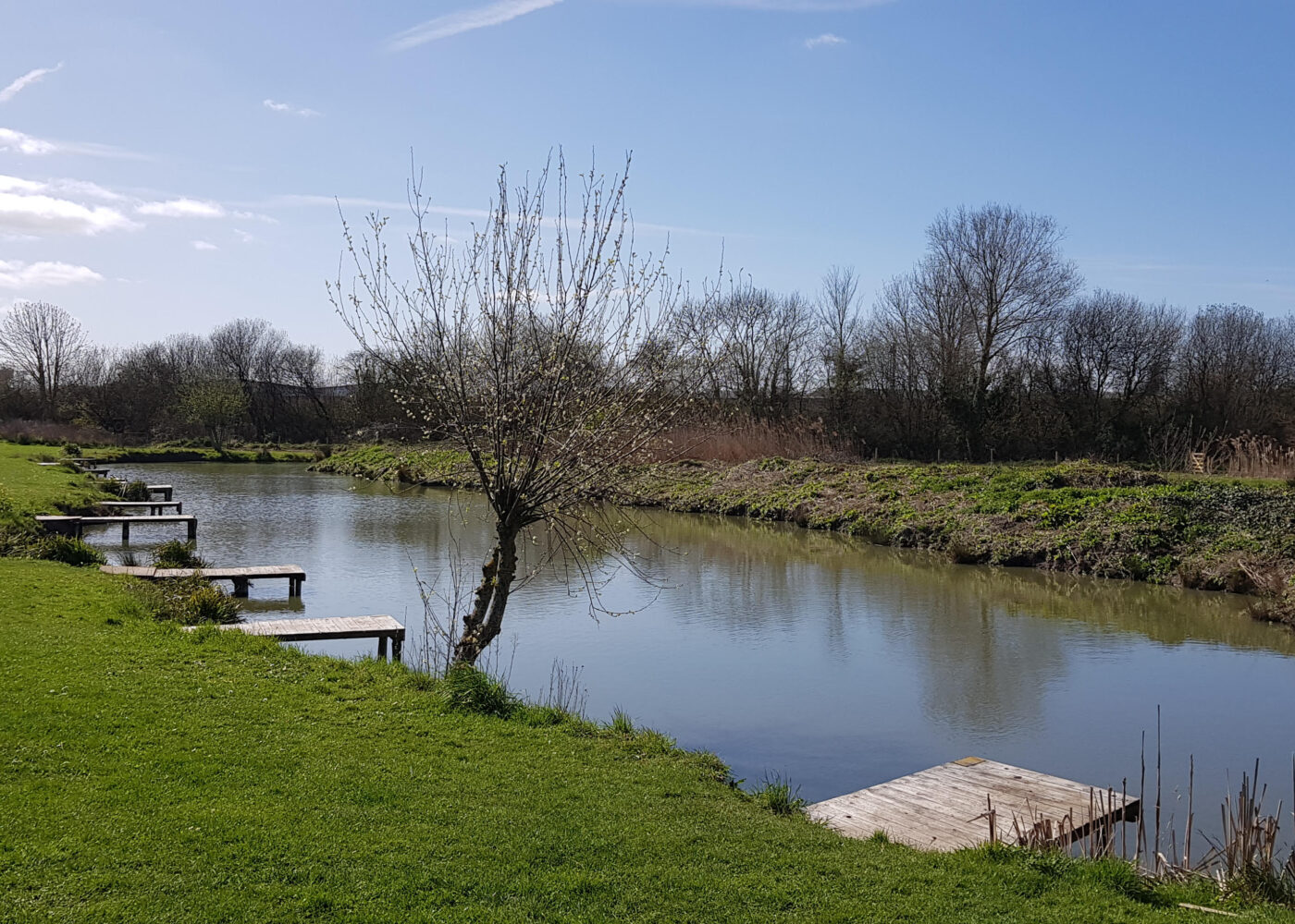 Summerhayes Fisheries featured image