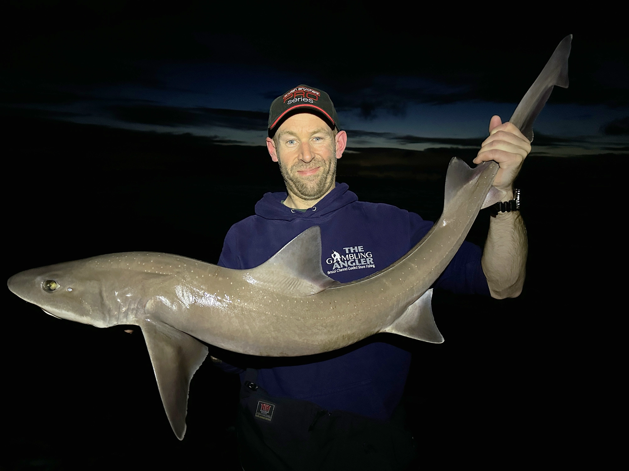 Species of the Month: Smoothhound (Mustelus asterias)