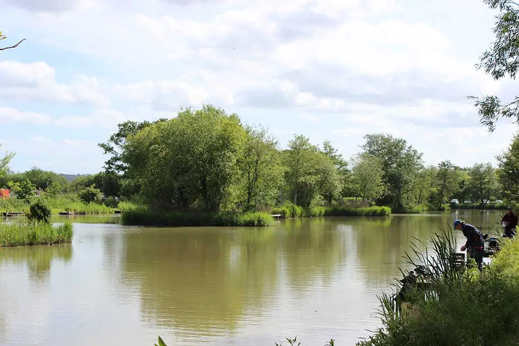 Image for Avalon Fisheries Open